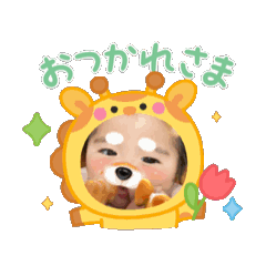 YUKA_20250315174110