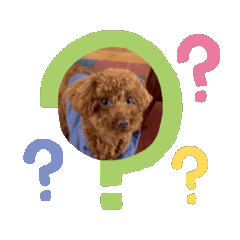 Peach72_20250315203534