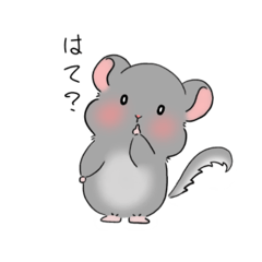 An emotional chinchilla