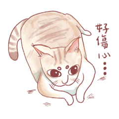 小咪小兔小狗