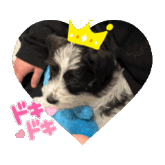 Olivia_20250315232519