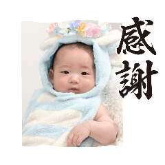 ryo_20250315195528