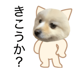 noa no nichijou 004