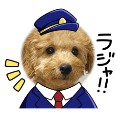 yuka_20250315195515