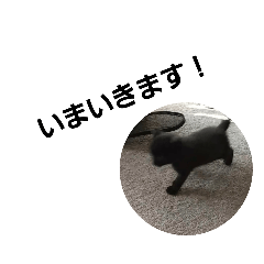black cat of yamato's stamp 3