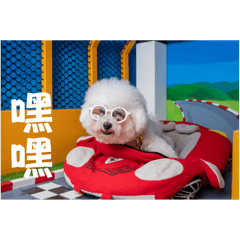 比比呀比比