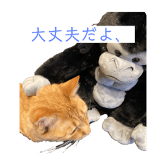 panda_20250315204410