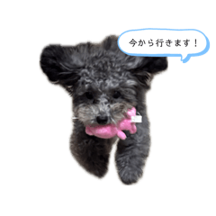 mei_20250315204520