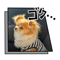 rena_20250315152747