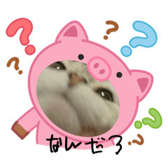 hana_20250315220625