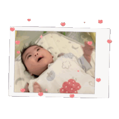 shin_20250316075354