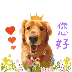 食粒派專用貼圖