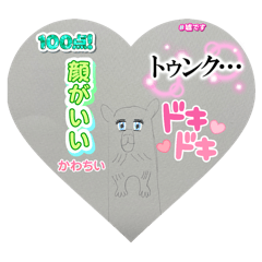 hima_20250315202931