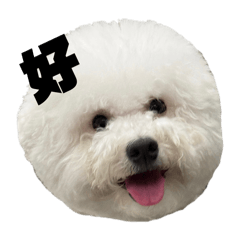 比比小比