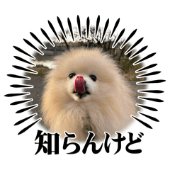 maki_20250315225610