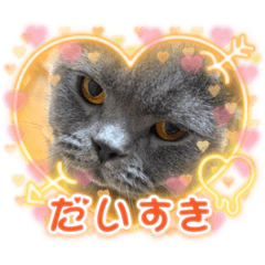 runa_nya