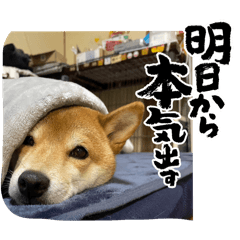 yasu_20250315213521