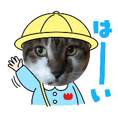 haru_20250315213745