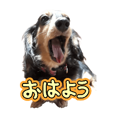 minapoyo_20250316003121