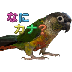 SK_20250315155347