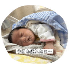 haru_20250315154038