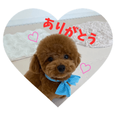 sayaka_20250315233754