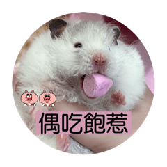 小薯條說你好