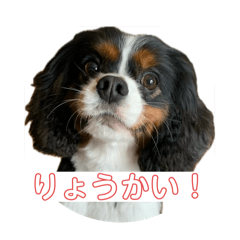 so_20250315163518
