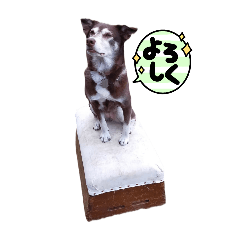 .noa._20250316102604