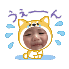 nagi_20250316120953