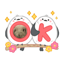 moka_20250316121705