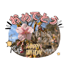 NONO_20250316134855