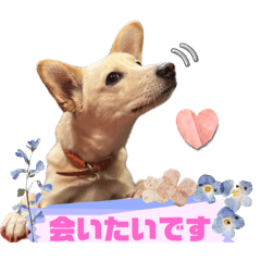 aki_20250316100350