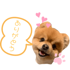 maki_20250316012446
