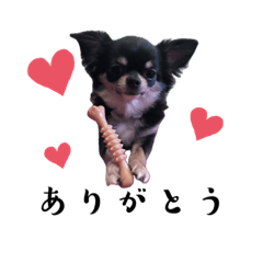 nene_20250316011651