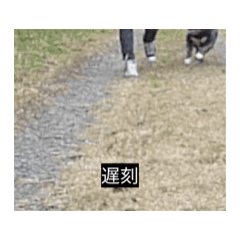 ri_20250316110513