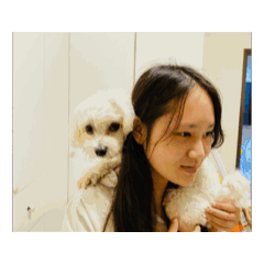可悅的貼圖