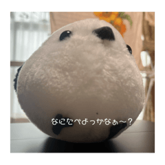 Moon_20250315162954