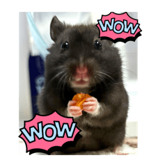 KAORI_20250315223434