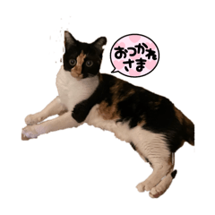 KiKI_20250316024446