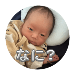 Ryu_20250316043143