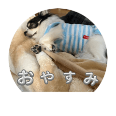 JACK_20250316085147