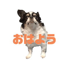Yuzu_20250316114630