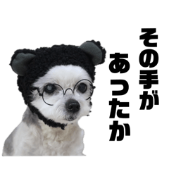 Bear_20250316121520