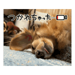 akiko_20250316143859