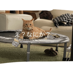 Natsu_20250316145404