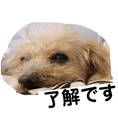 Haru_20250316145604
