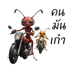 แดงกับเหลืองจิกกัด