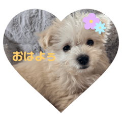 omochi_20250316133200