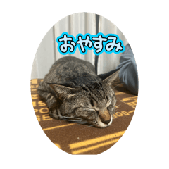 Umi_20250316173036